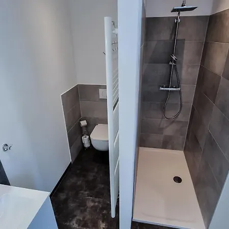 Exklusive Ferienwohnung Im Zentrum Von Plauen Exterior photo